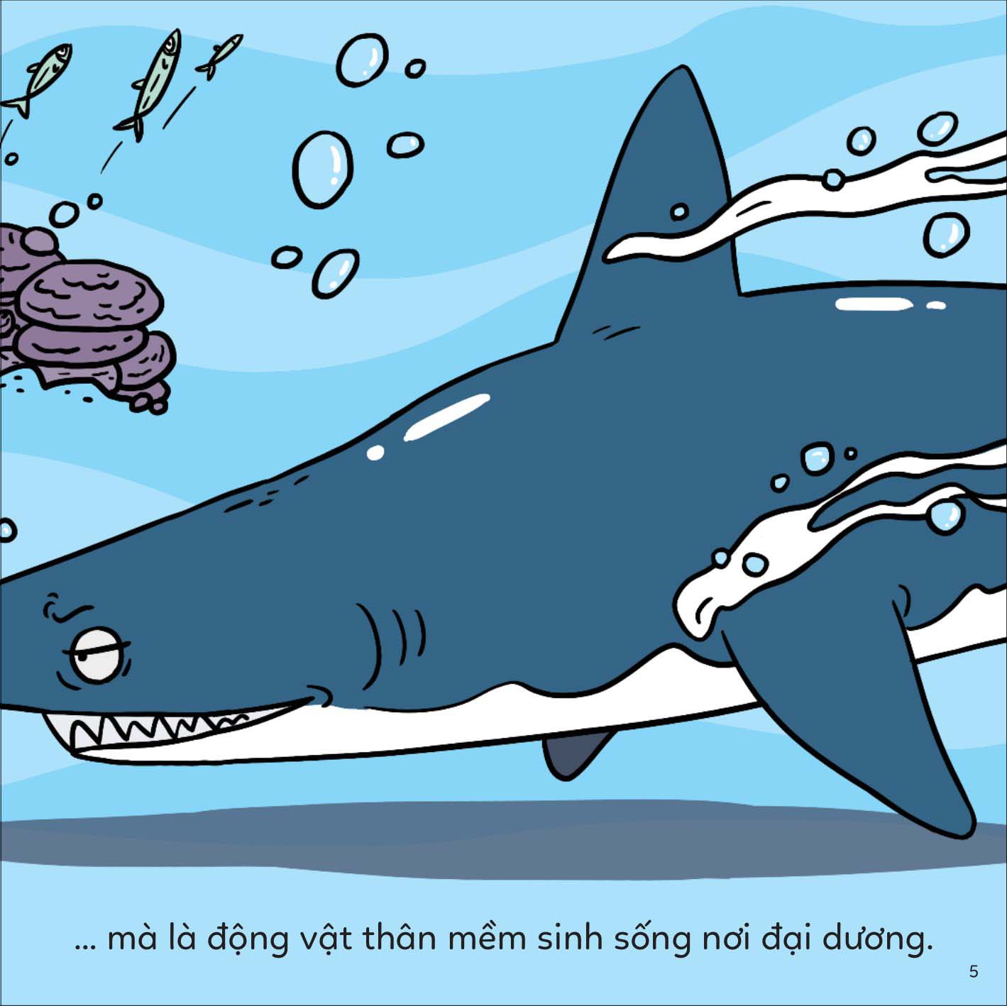 đố em phân biệt! - bạch tuộc và mực