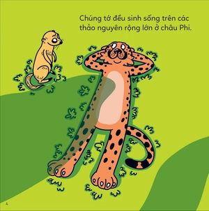 đố em phân biệt! - báo săn và báo hoa