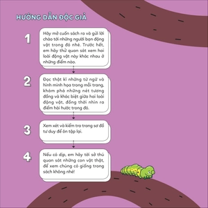 đố em phân biệt! - bướm và bướm đêm