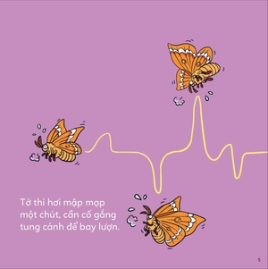 đố em phân biệt! - bướm và bướm đêm