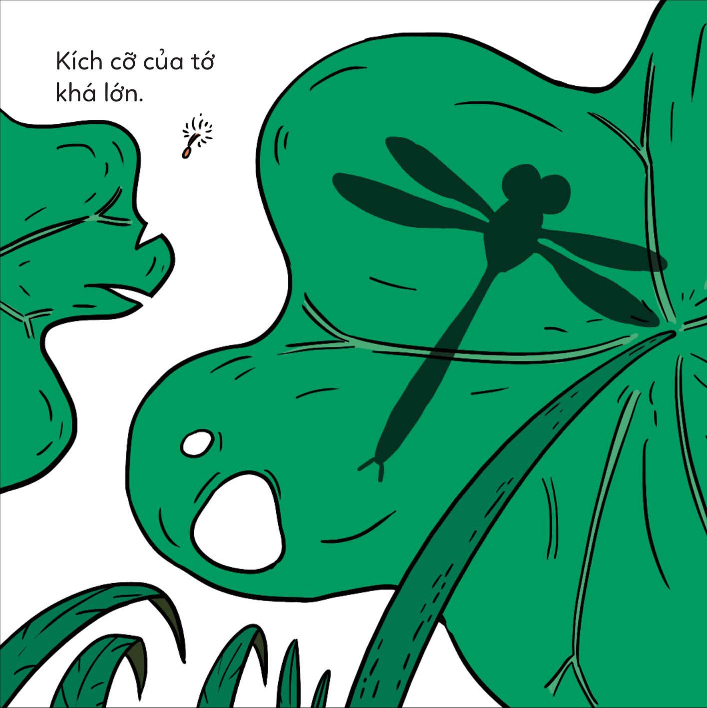 đố em phân biệt! - chuồn chuồn và chuồn chuồn kim