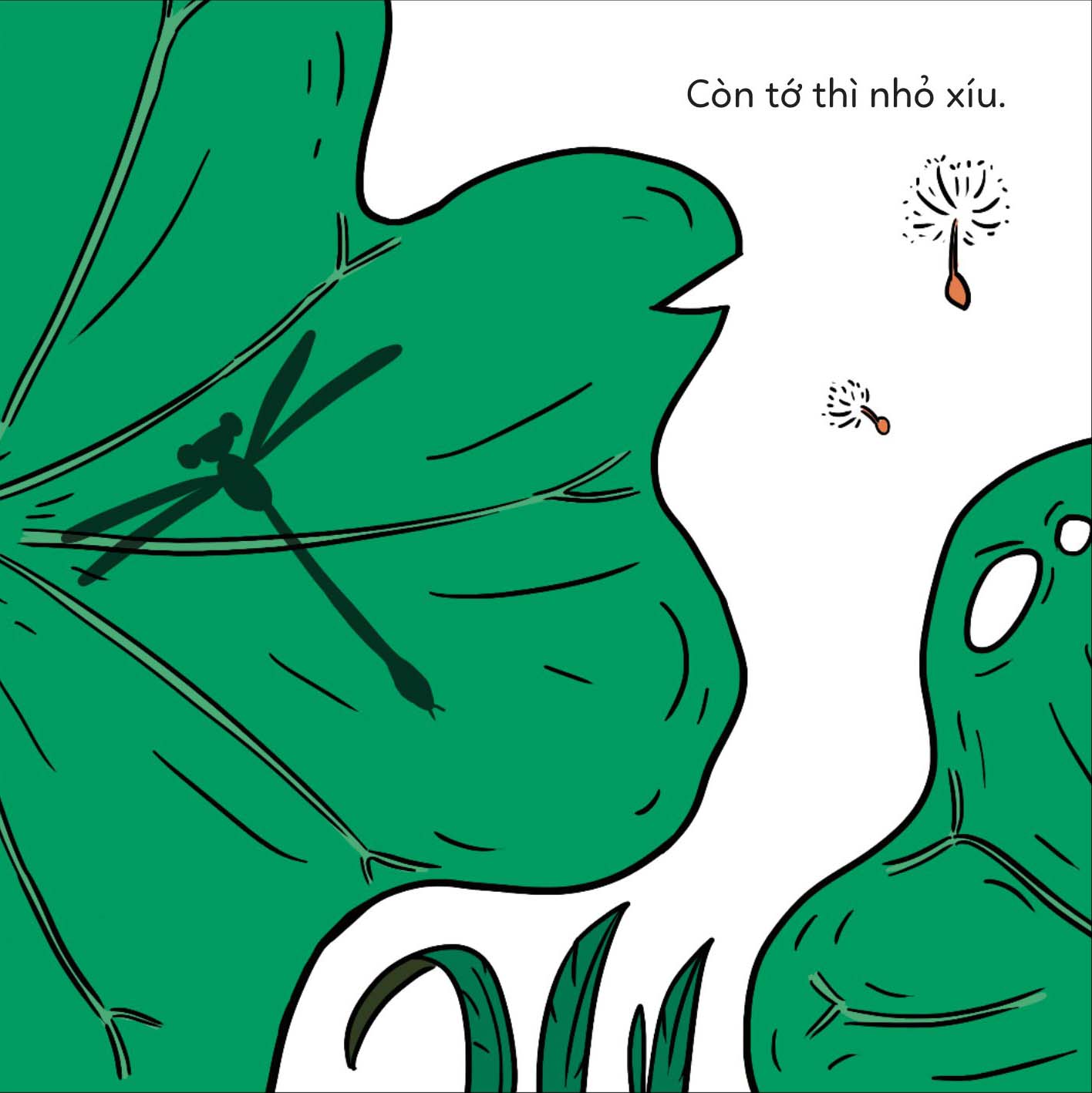 đố em phân biệt! - chuồn chuồn và chuồn chuồn kim