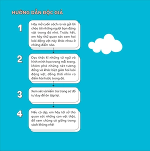 đố em phân biệt! - gấu trúc đỏ và gấu mèo