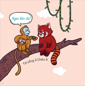 đố em phân biệt! - gấu trúc đỏ và gấu mèo