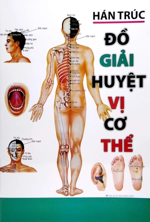 đồ giải huyệt vị cơ thể