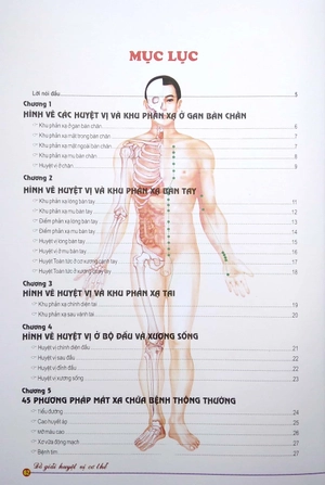 đồ giải huyệt vị cơ thể