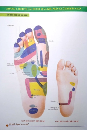 đồ giải huyệt vị cơ thể