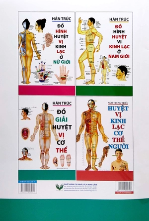 đồ giải huyệt vị cơ thể