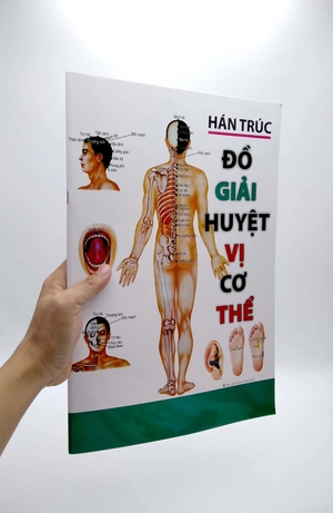 đồ giải huyệt vị cơ thể