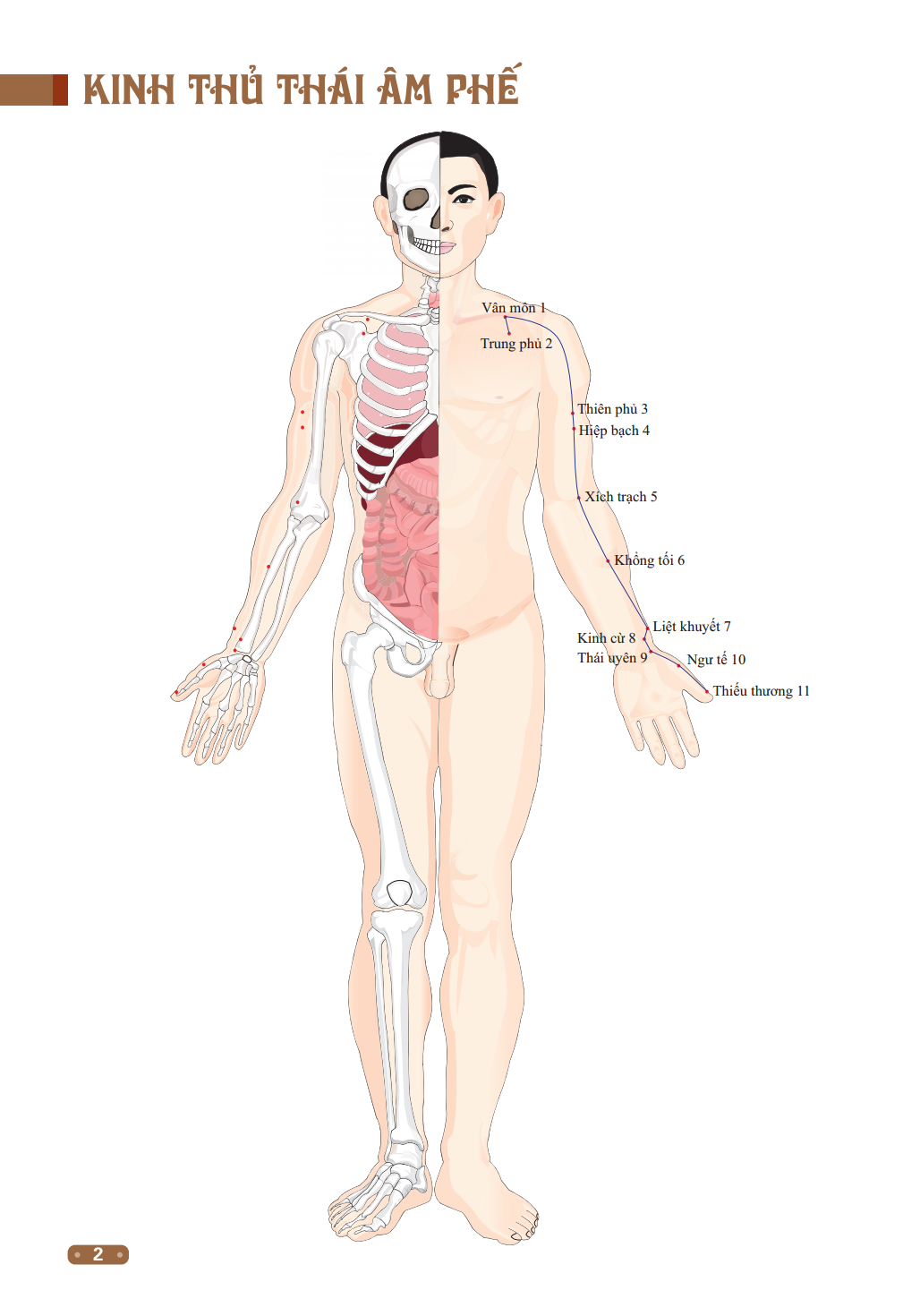 đồ giải kinh lạc huyệt vị cơ thể (tái bản 2023)