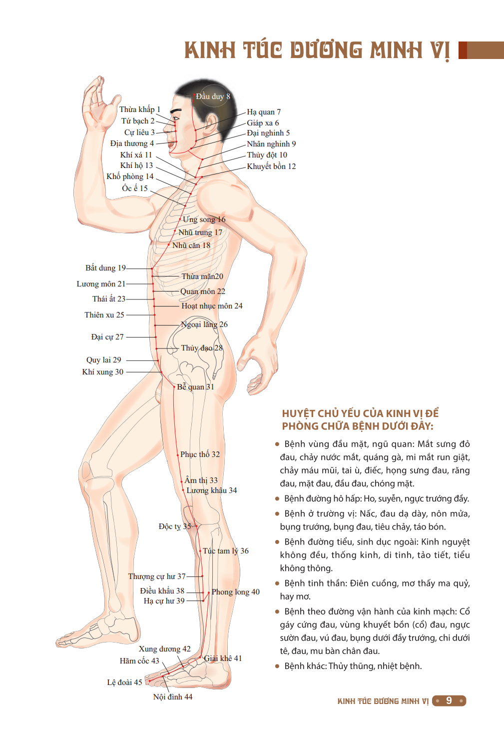 đồ giải kinh lạc huyệt vị cơ thể (tái bản 2023)