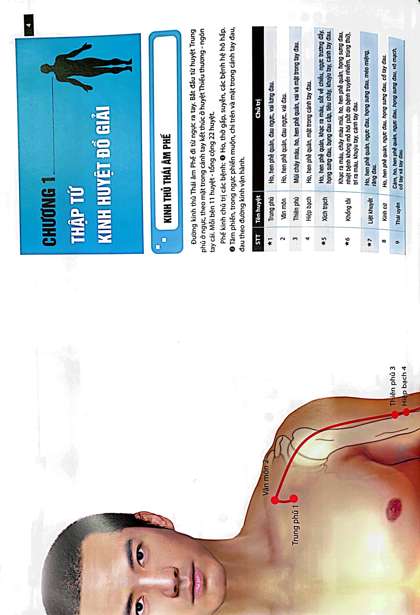 đồ giải kinh lạc huyệt vị - nam giới (tái bản 2023 )
