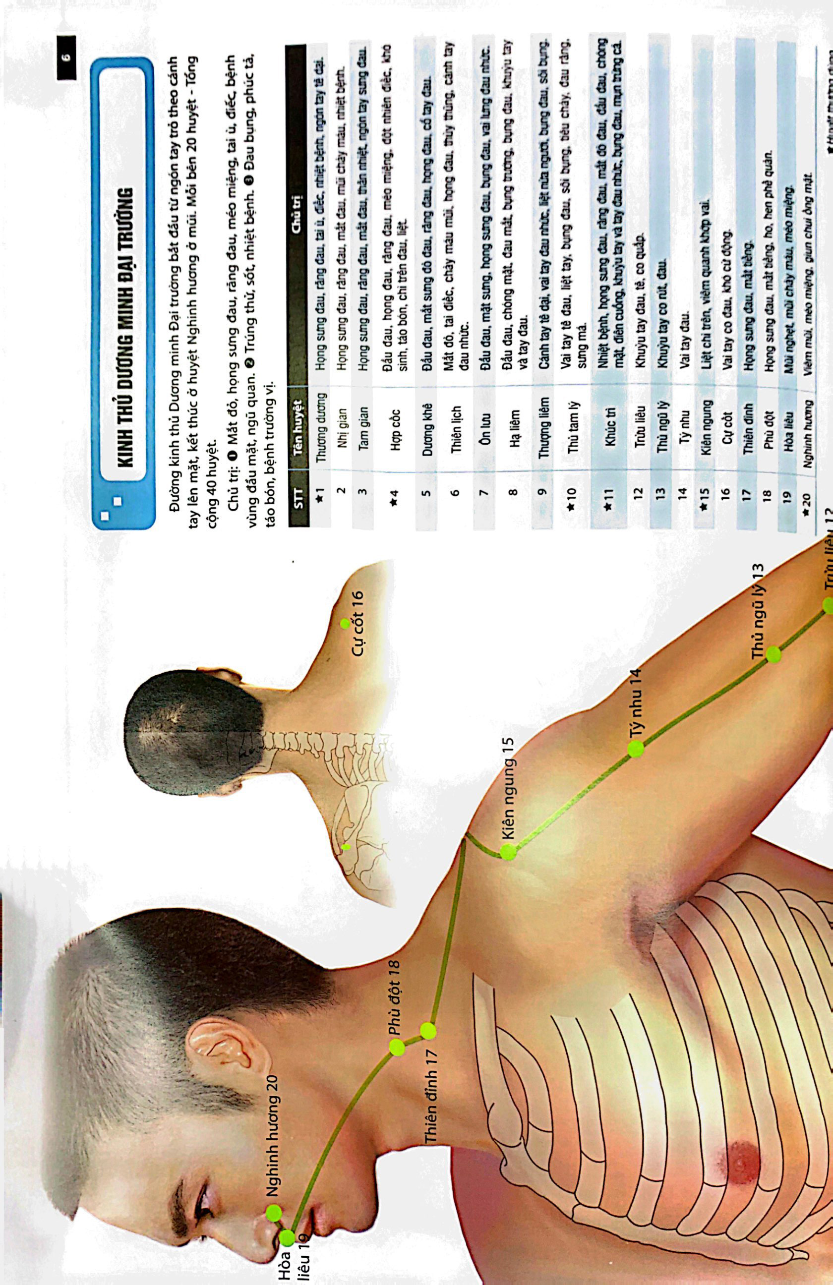 đồ giải kinh lạc huyệt vị - nam giới (tái bản 2023 )