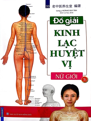 đồ giải kinh lạc huyệt vị - nữ giới