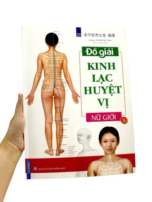 đồ giải kinh lạc huyệt vị - nữ giới