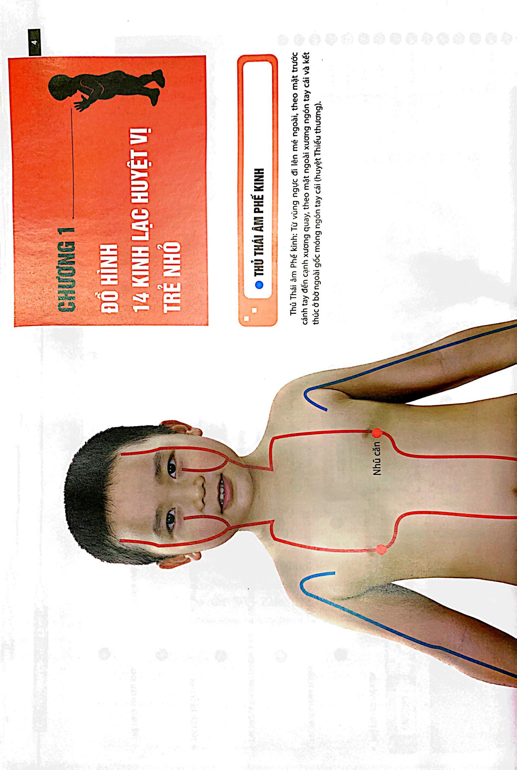 đồ giải kinh lạc huyệt vị - trẻ em