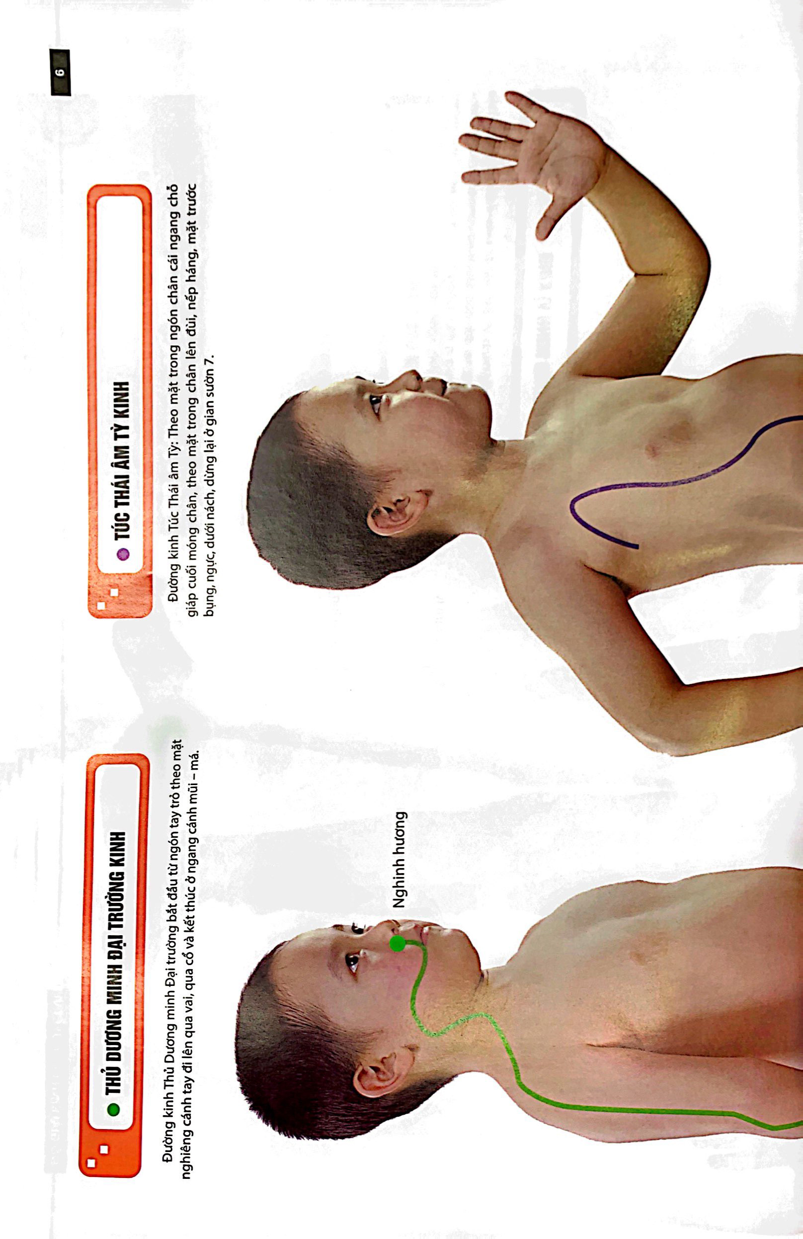 đồ giải kinh lạc huyệt vị - trẻ em