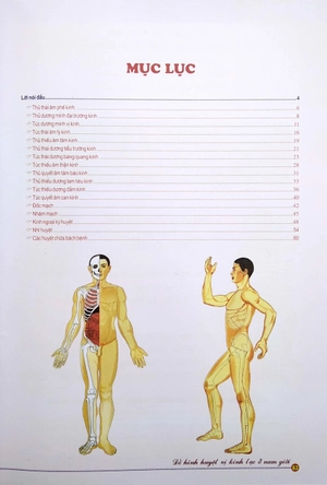 đồ hình huyệt vị kinh lạc ở nam giới