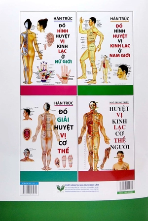 đồ hình huyệt vị kinh lạc ở nam giới
