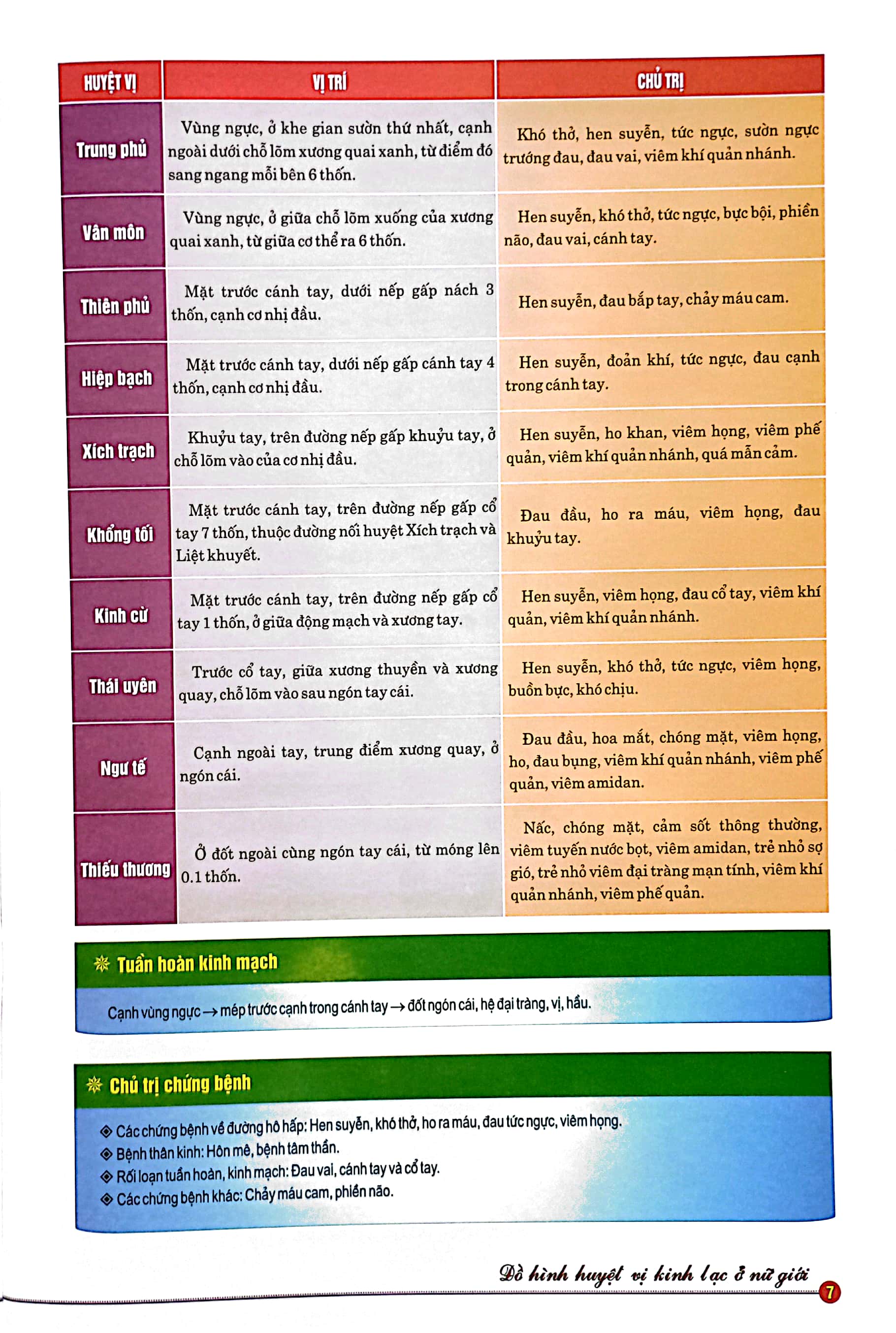 đồ hình huyệt vị kinh lạc ở nữ giới