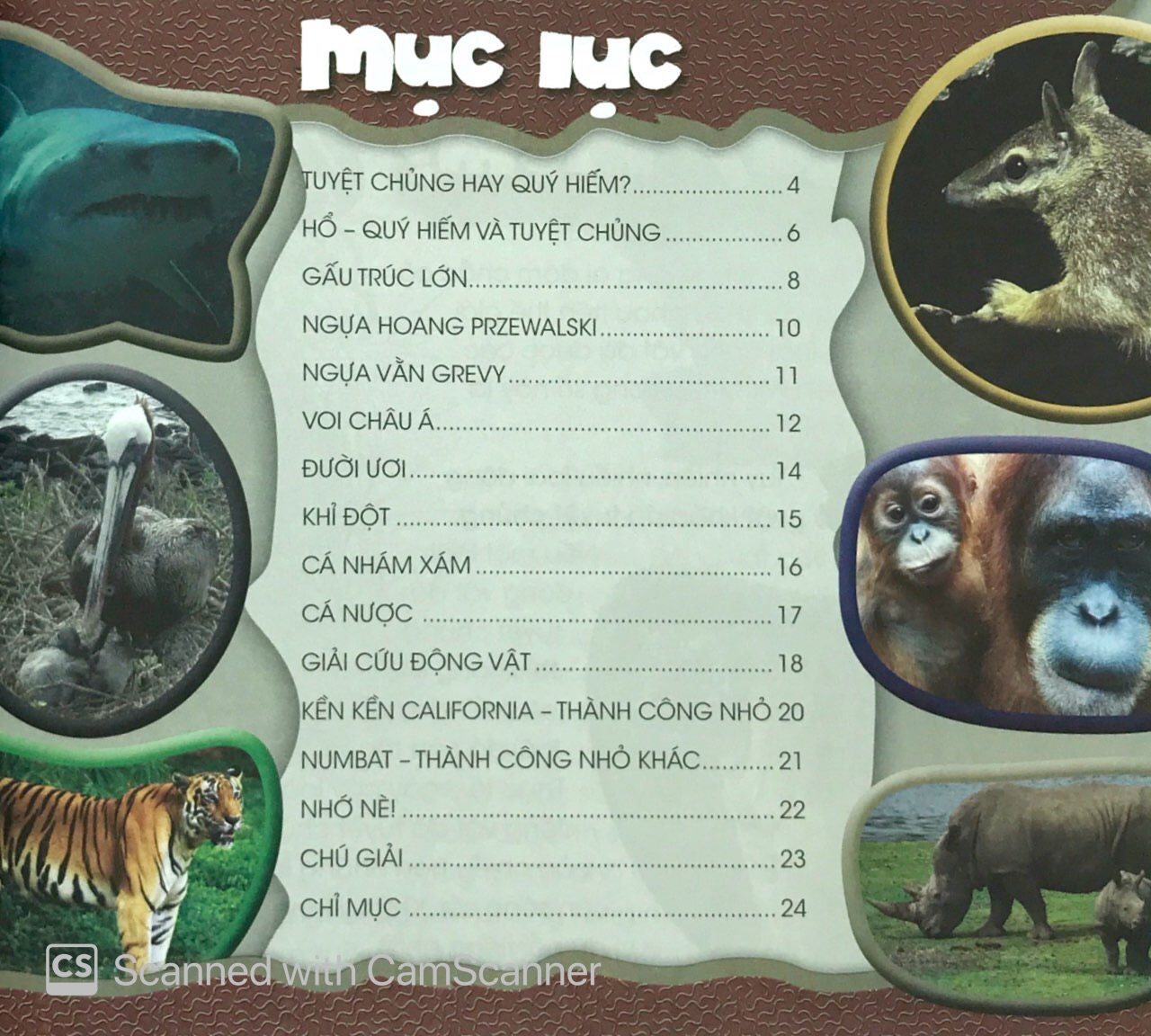 độc, lạ, phi thường - bên bờ tuyệt chủng