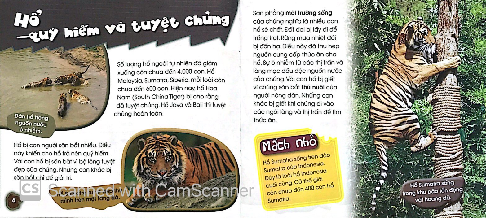 độc, lạ, phi thường - bên bờ tuyệt chủng