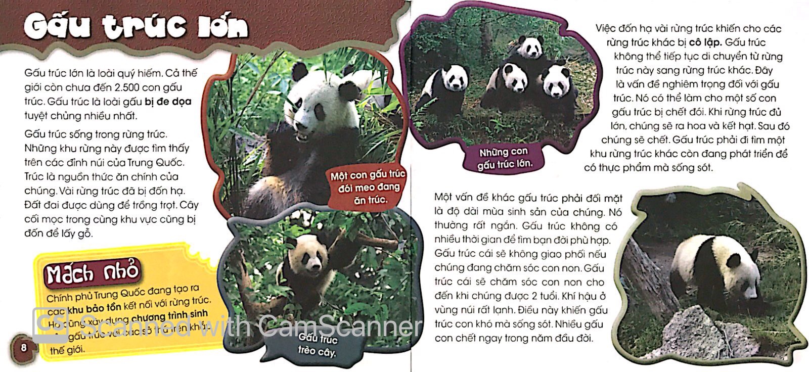 độc, lạ, phi thường - bên bờ tuyệt chủng