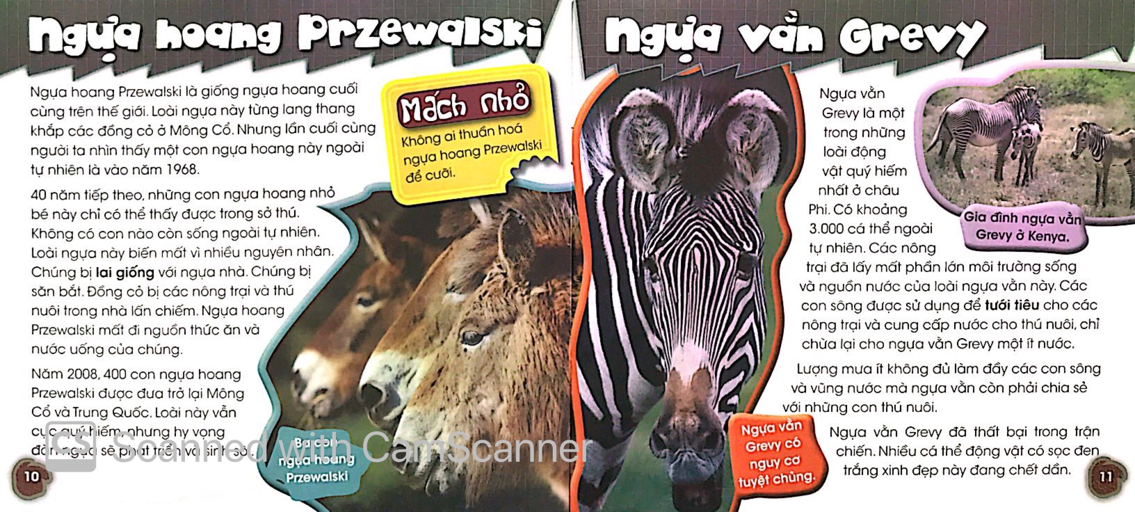 độc, lạ, phi thường - bên bờ tuyệt chủng