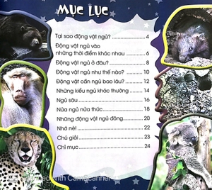 độc, lạ, phi thường - giấc ngủ muôn hình