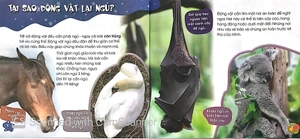 độc, lạ, phi thường - giấc ngủ muôn hình