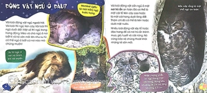 độc, lạ, phi thường - giấc ngủ muôn hình