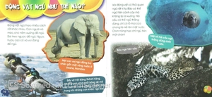 độc, lạ, phi thường - giấc ngủ muôn hình