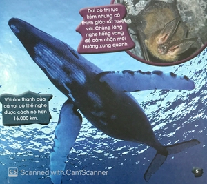 độc, lạ, phi thường - kỹ năng tuyệt đỉnh