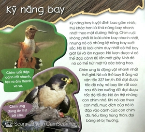 độc, lạ, phi thường - kỹ năng tuyệt đỉnh