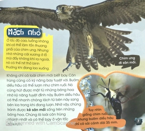 độc, lạ, phi thường - kỹ năng tuyệt đỉnh