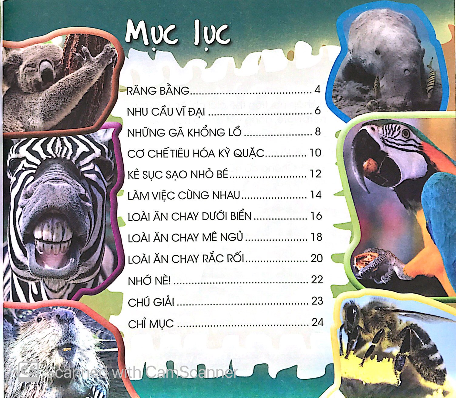 độc, lạ, phi thường - loài ăn chay