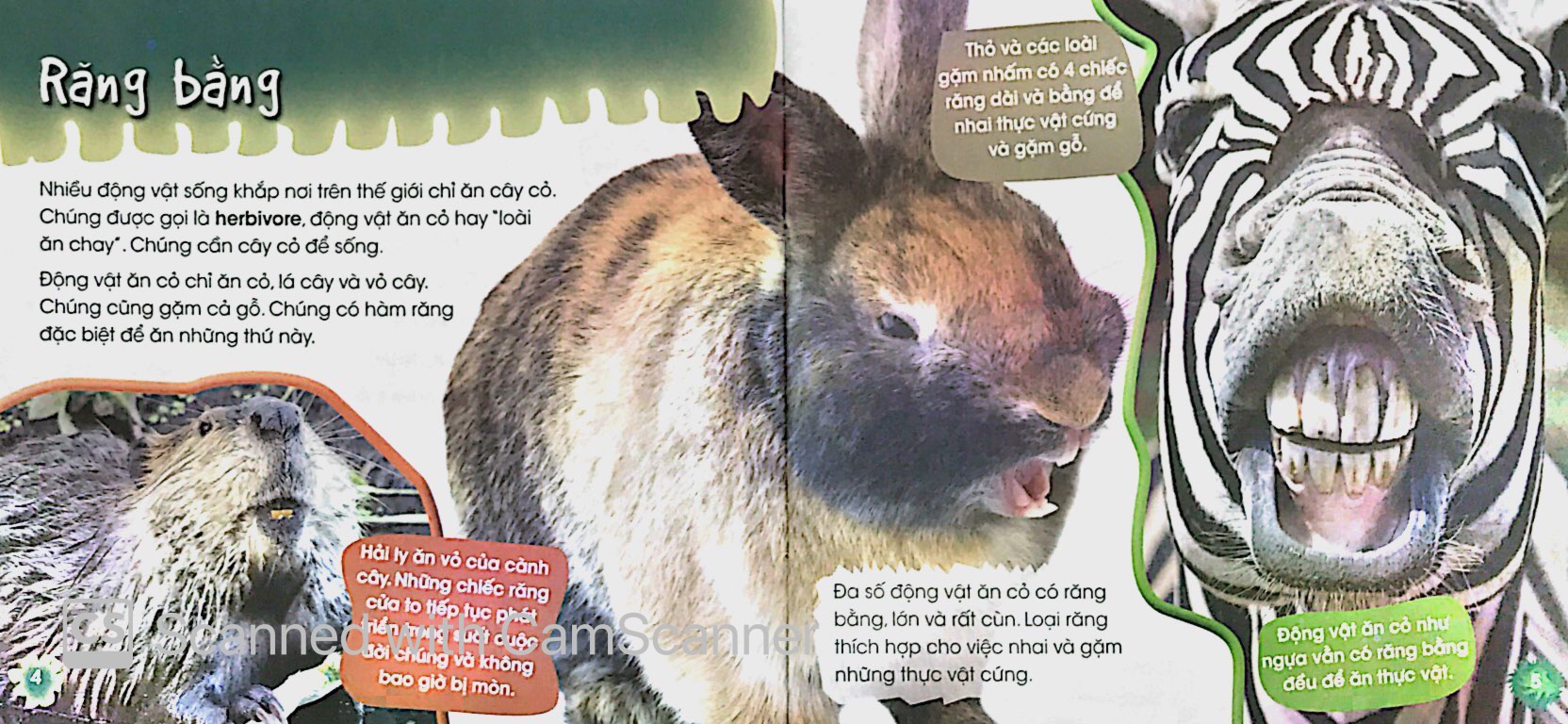 độc, lạ, phi thường - loài ăn chay