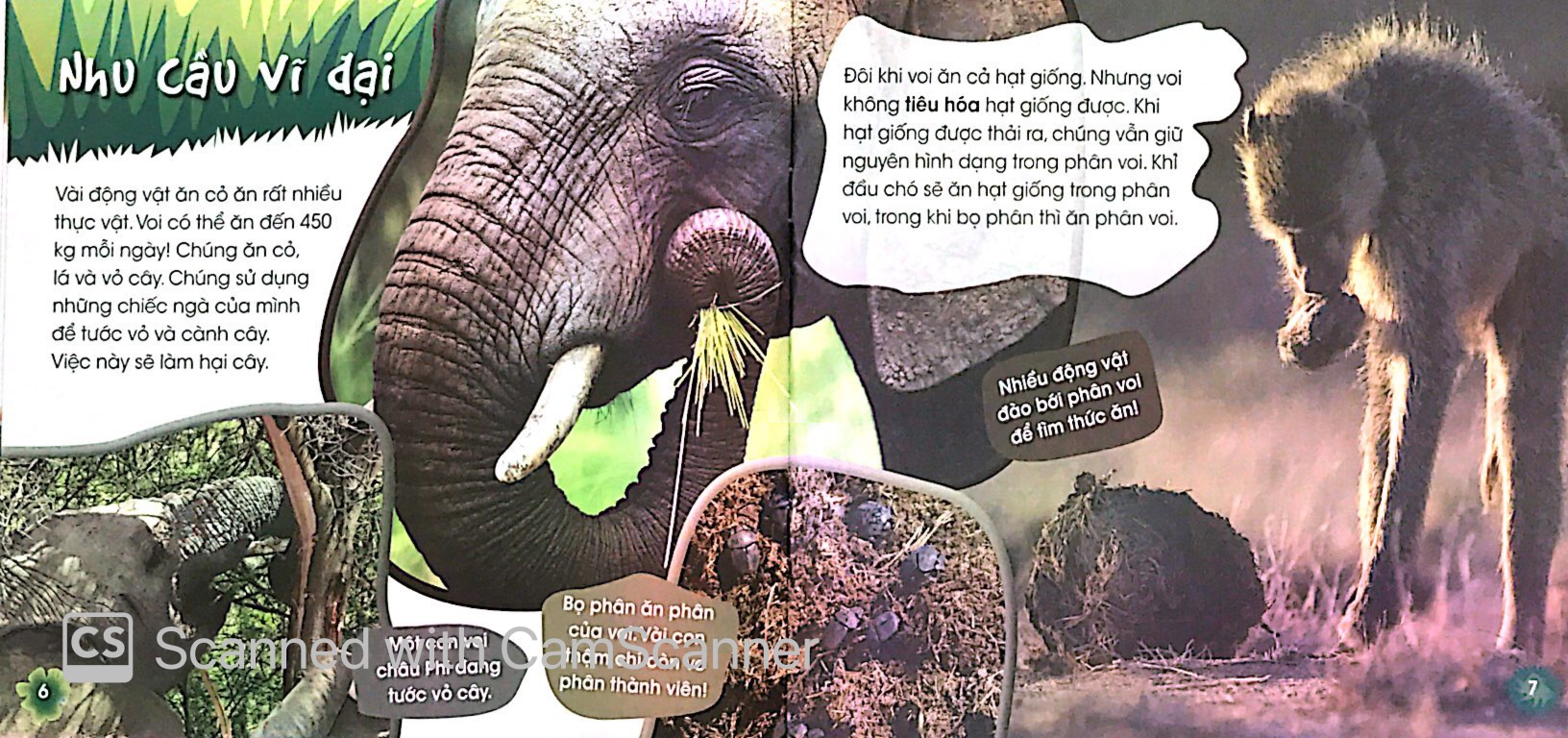 độc, lạ, phi thường - loài ăn chay