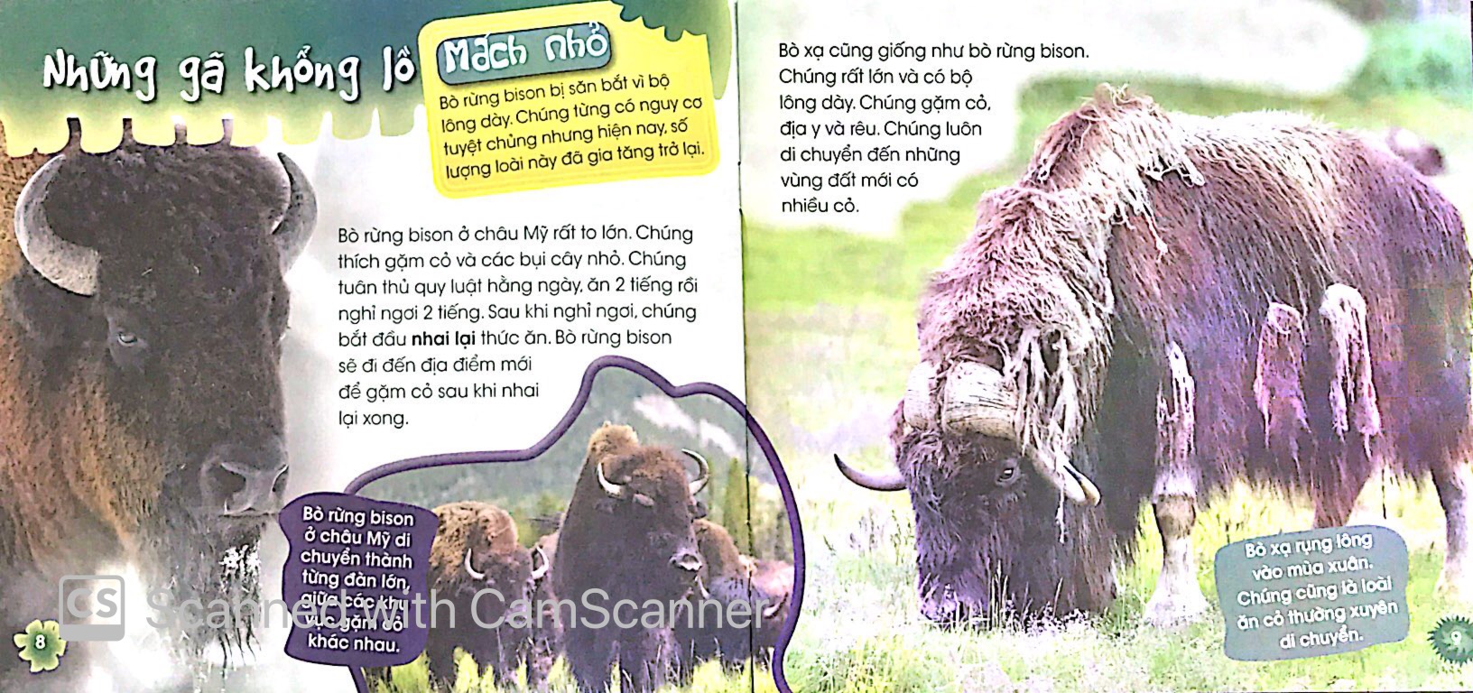 độc, lạ, phi thường - loài ăn chay