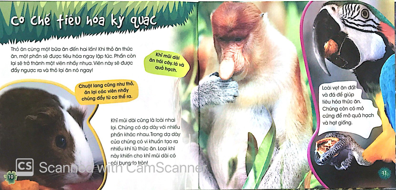 độc, lạ, phi thường - loài ăn chay