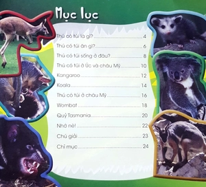 độc, lạ, phi thường - loài thú có túi