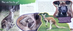 độc, lạ, phi thường - loài thú có túi