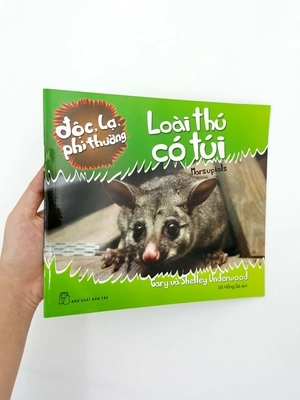 độc, lạ, phi thường - loài thú có túi