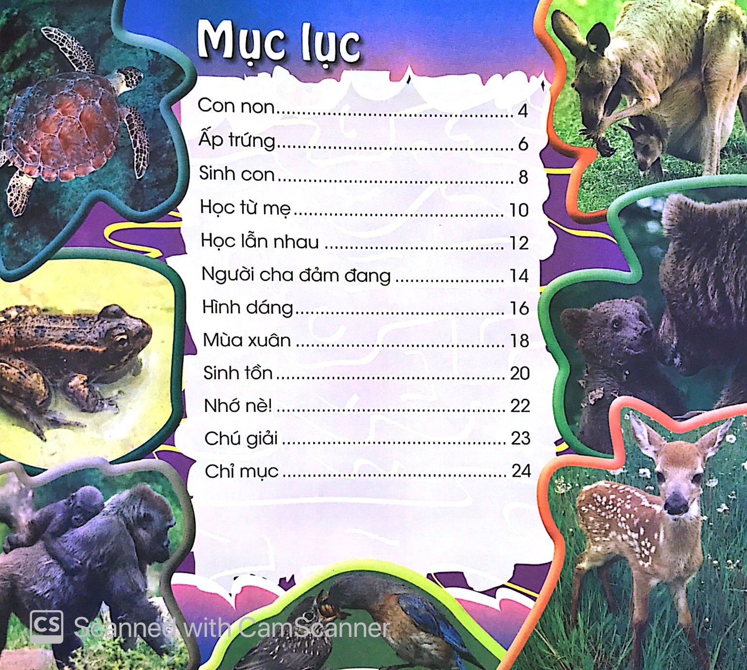 độc, lạ, phi thường - thú con bé bỏng