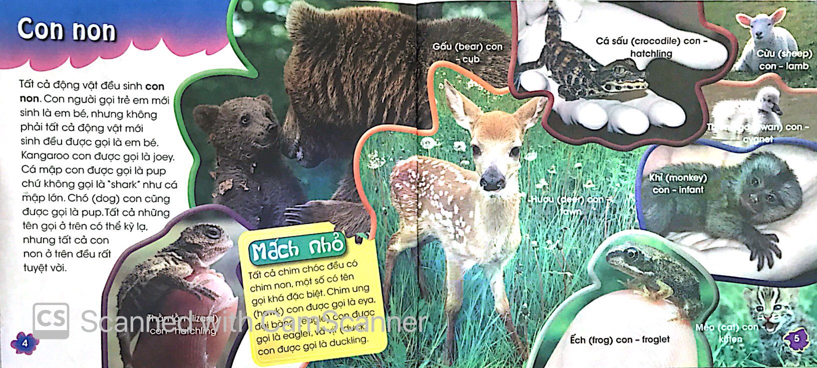 độc, lạ, phi thường - thú con bé bỏng