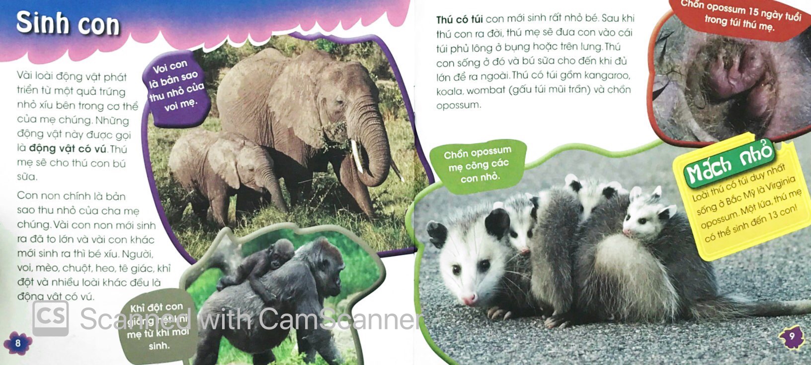 độc, lạ, phi thường - thú con bé bỏng