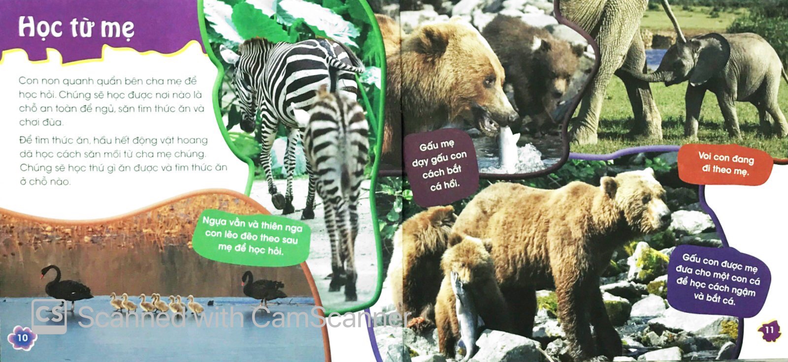 độc, lạ, phi thường - thú con bé bỏng