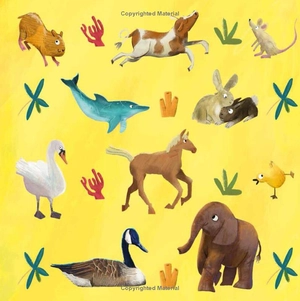 does a monkey get grumpy?