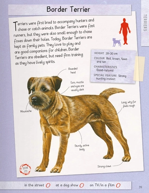 dogs handbook