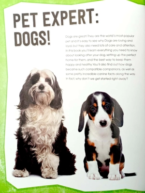 dogs (pet expert)